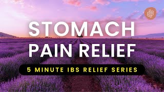 5 Minute Meditation for Stomach Pain  Guided Stomach Ache Relief Meditation [upl. by Naxela]