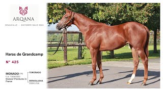 Arqana 202410 sale  N° 425 F  Toronado x Mowaajahat présentée par le Haras De Grandcamp [upl. by Trudi501]