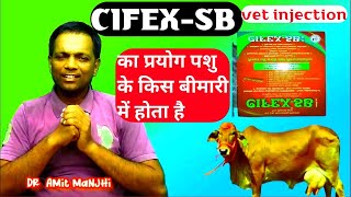 Ceftriaxone amp Sulbactum Sodium Injection  Veterinary Medicine  Antibiotic use in hindi [upl. by Perseus24]