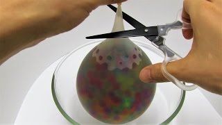 1000 Orbeez Balloon Experiment [upl. by Nylrebmik]