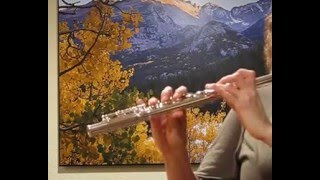 Yamaha 881 Flute used w Straubinger Headjoint  Response [upl. by Glorianna674]