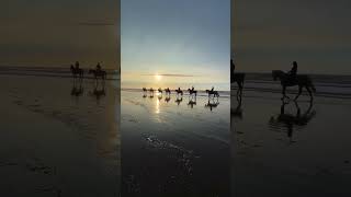 Sunset Horse Rides on Morocco’s Beaches A Dreamy Experience 🐎🌅 travel moroccotravelguide [upl. by Aleuqahs]