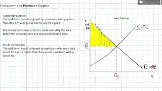 Consumer Surplus and Producer Surplus [upl. by Kelci69]