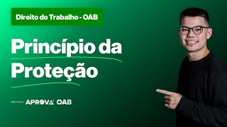 Direito do Trabalho para a OAB  Princípio da Proteção [upl. by Chee667]