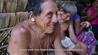 Tribus du Monde x Anne de Vandière  les Quichuas et Huaoranis dEquateur [upl. by Bennir]