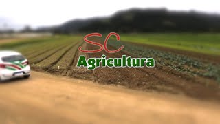 Confira íntegra do programa SC Agricultura deste sábado 21 [upl. by Valery643]