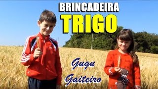 BRINCADEIRA DA ESPIGA DE TRIGO [upl. by Trevor808]