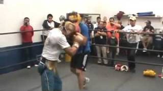 Juan Manuel Marquez Training in Romanza Gym [upl. by Gifferd]