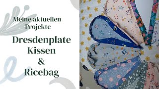 Nähprojekte dresdenplate cushion aus dem Buch quiltpetite amp ricebag pamistyle [upl. by Joselow284]