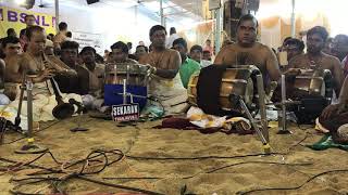 Thiruvaiyaru  Thyagaraja Aradhana 2019  Nagaswaram Pinnaimanahar KM Uthirapathy [upl. by Ojimmas]