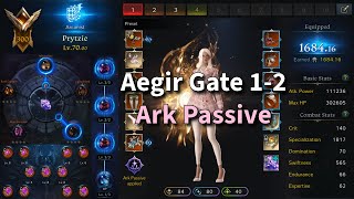 Lost Ark Aegir With Cheapo Ark Passive Read Pin [upl. by Suzy]