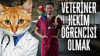 VETERİNER FAKÜLTESİNDE BİR GÜN GEÇİRMEK [upl. by Hannibal]