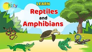 Reptiles Names For kids in English  Learn Reptiles and Amphibians for Children  Amphibians Names [upl. by Akemak]