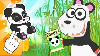 Aprende con Eddie cómo disfrazarte de oso panda 🐼🐼 Eddie el dinosaurio aprende sobre los osos [upl. by Viv307]