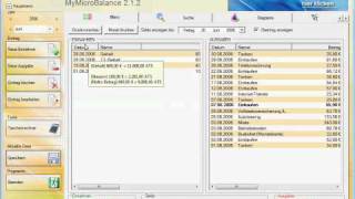Haushaltsbuch MyMicroBalance Oberfläche [upl. by Annam648]
