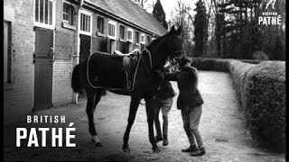 Horse Racing Stables 19501959 [upl. by Akilak]