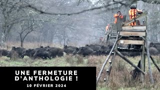 SANGLIERS CERFS ET CHEVREUILS EN BATTUE  UNE FERMETURE DANTHOLOGIE [upl. by Deryl762]