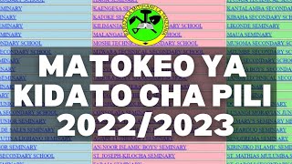 MATOKEO YA KIDATO CHA PILI 202223 JINSI YA KUTAZAMA MATOKEO YA FORM TWO 20222023 [upl. by Eiffe520]