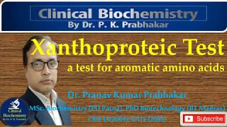 Xanthoproteic Test  Colour Reaction of Proteins [upl. by Alaaj808]