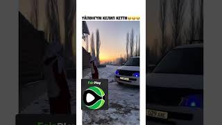 бишкек automobile кыргызстан news police dj horse taxi rek funny [upl. by Haydon]