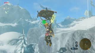 The Legend of Zelda Breath of the Wild  100 Run  Day 136 [upl. by Cheffetz]