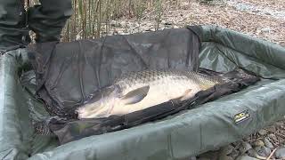 Lago di Pusiano carp fishing [upl. by Earas]