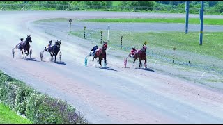 Amman Valley Harness Races 21 5 2022 Grade B Race [upl. by Dalohcin932]