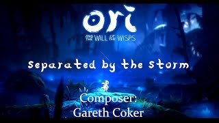 Ori and the Will of the Wisps Separated by the Storm  Live Concert performance by Kindly Raime [upl. by Netsirhc940]