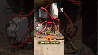 How is your earthing system electrical electrician shorts [upl. by Sion799]