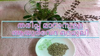 തരിപ്പ് മാറാനുള്ള ആയുർവേദ ഒറ്റമൂലി How to Stop Numbness  Malayalam [upl. by Nnarual]