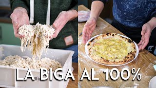 Pizza Napoletana con BIGA 100 RICETTA FACILE E ORIGINALE del maestro pizzaiolonapoletano5242 [upl. by Aihsilat]