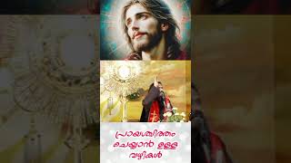 How to do penance Fr Raphson Peter OCD Avila Sadan Karaparambu Edoor [upl. by Herod]