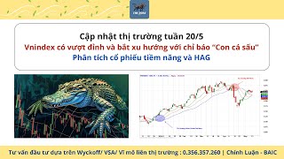 Cập nhật thị trường tuần 205  Vnindex vượt đỉnh  và chỉ báo xu hướng quot Con cá sấuquot [upl. by Ardaed]