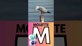 Dapprendre Lalphabet des animaux Lettre M shortsvideo maternelle mouette [upl. by Enidan407]