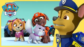 Over 1 Hour of Chase Ultimate Rescue Episodes  PAW Patrol  Cartoons for Kids Compilation [upl. by Yonit]