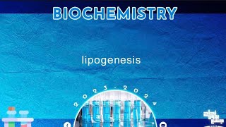 L2324  Lipid metabolism Fatty acids synthesis and lipogenesis   Biochemistry [upl. by Asseniv]