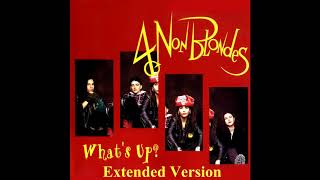 4 Non Blondes  Whats Up Extended Version [upl. by Ybab]