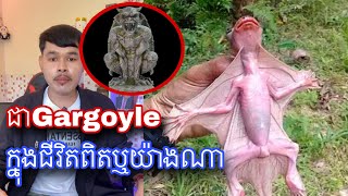 មកស្គាល់សត្វចម្លែកស្រដៀងបីសាចក្នុងរឿងនិទានហើយមាននៅកម្ពុជាផងដែរ l MrVeasna [upl. by Sloatman]