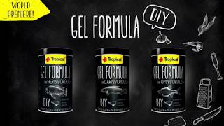 Tropical GEL FORMULA for Carnivorous Fish [upl. by Lorrimer]