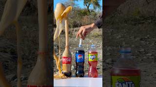 What happens if you mix CocaCola with Mentos 🔥🔥 cokevsmentos experiment mentos [upl. by Doris]