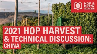 2021 Hop Harvest Updates and Technical Discussion Greater China [upl. by Enida]