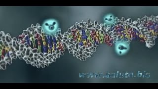 Epigenetica e riprogrammazione cellulare [upl. by Teemus]