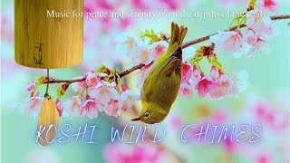 Koshi Wind Chimes Relaxing  Koshi Bells Meditation  Music From Nature For Deep Sleep And Healing [upl. by Carnahan]