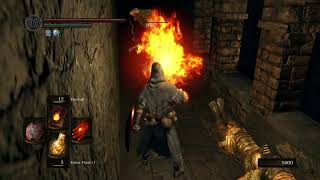 Dark souls 1 Pyromancy run Part 4 Iron Golem Ornstein and Smough and the Stray Demon [upl. by Beckett]