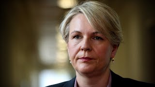 ‘Hasn’t given any real evidence Mounting pressure on Tanya Plibersek following 1B mine veto [upl. by Ssitruc]