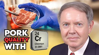 Dr Jerry Spears Chromium in Swine Feed [upl. by Sucramal888]