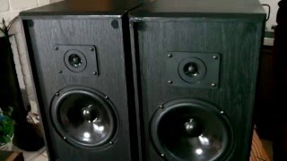 Pinnacle AC 600 Speakers [upl. by Gnilhsa]