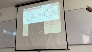 METABOLISMO DEL GRUPO HEMO  CLASE 8 DE NOVIEMBRE  BIOQUÍMICA [upl. by Keever]