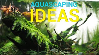 AQUASCAPING Ideas For Your Next PLANTED AQUARIUM [upl. by Yrred953]