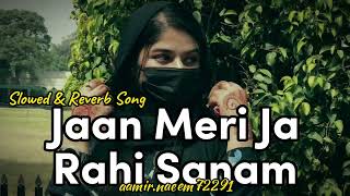 Jan Meri Ja Rahi Sanam  Slow and Reverb Song  Lucky Movie Song  Salman Khan [upl. by Gannes]